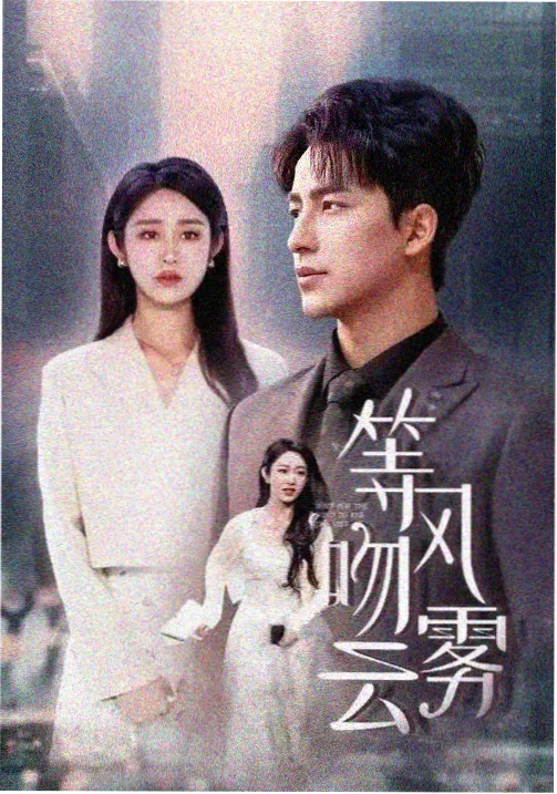 剧集长街灯火福利在线视频